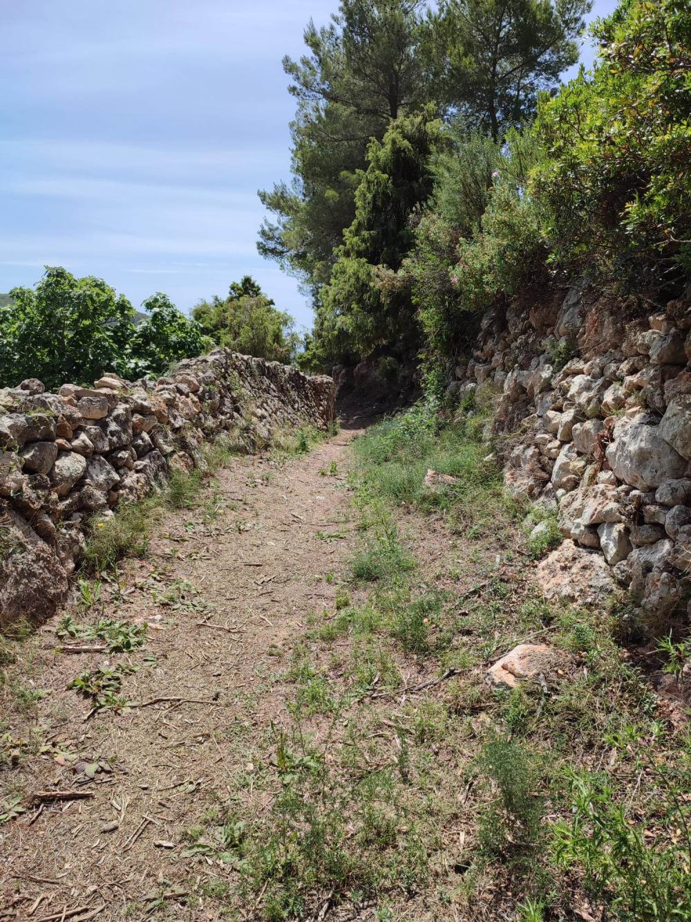  till salu tomt Sant Carles De Peralta Santa Eulària Des Riu 3