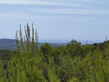 Sant Carles De Peralta Santa Eulària Des Riu tomt foto 5454034