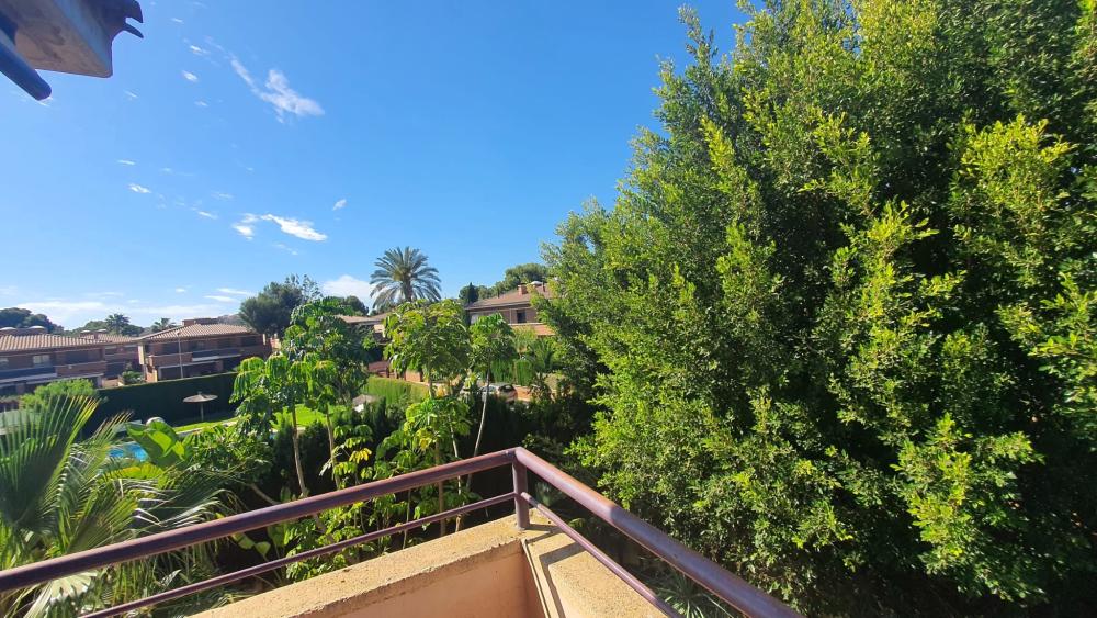  till salu villa L'almaixada Alacantí 18