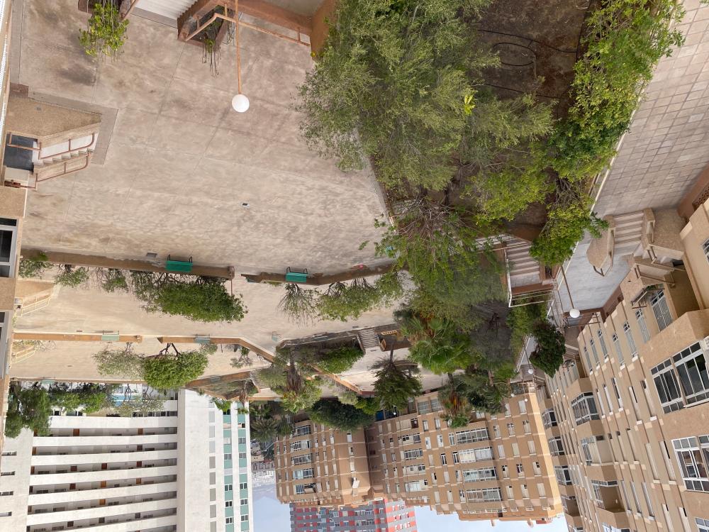  till salu lägenhet Ciudad Alta Palmas De Gran Canaria (Las) 14