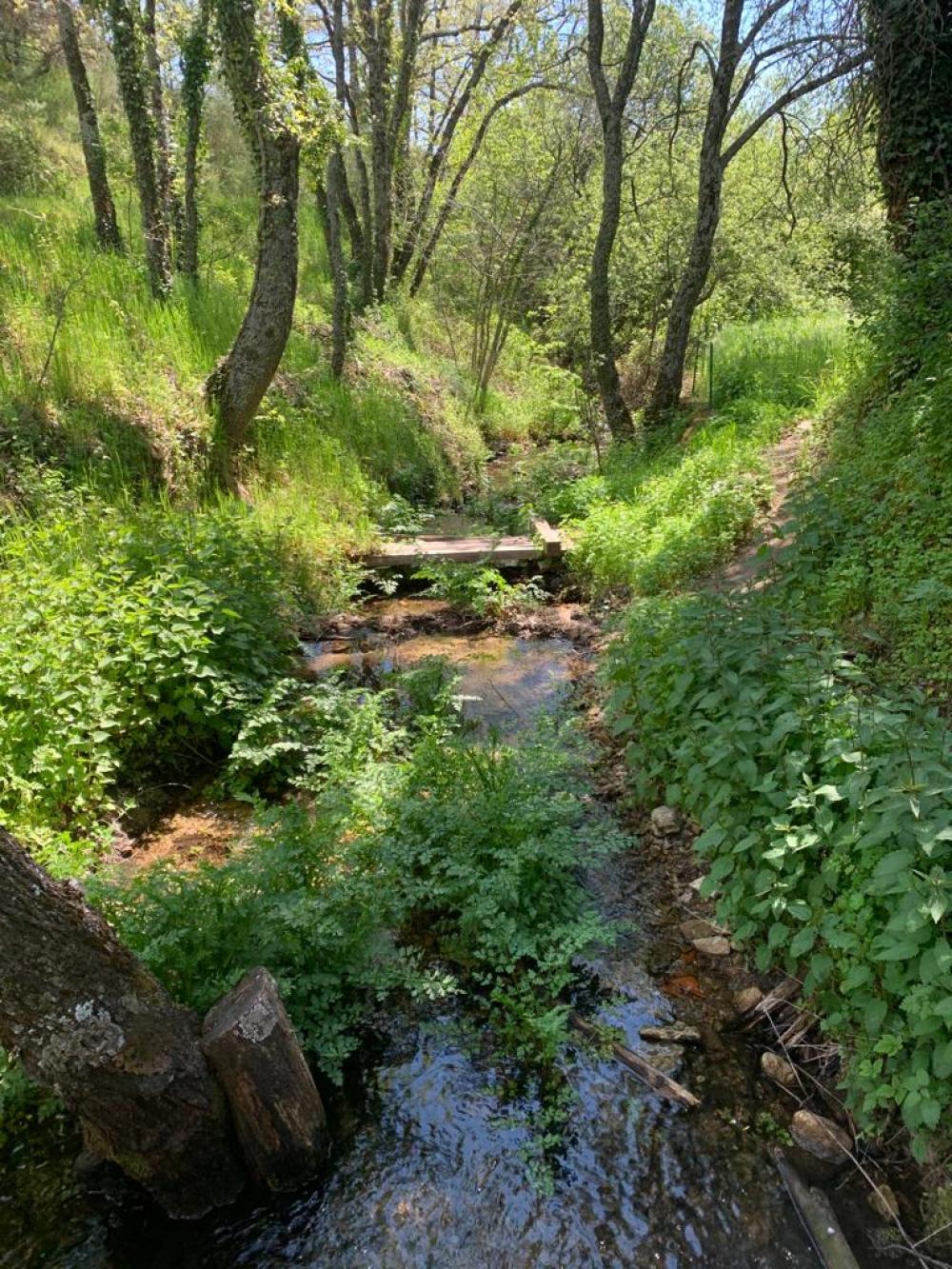 till salu hus på landet Miraflores De La Sierra Cuenca Alta Del Manzanares 3