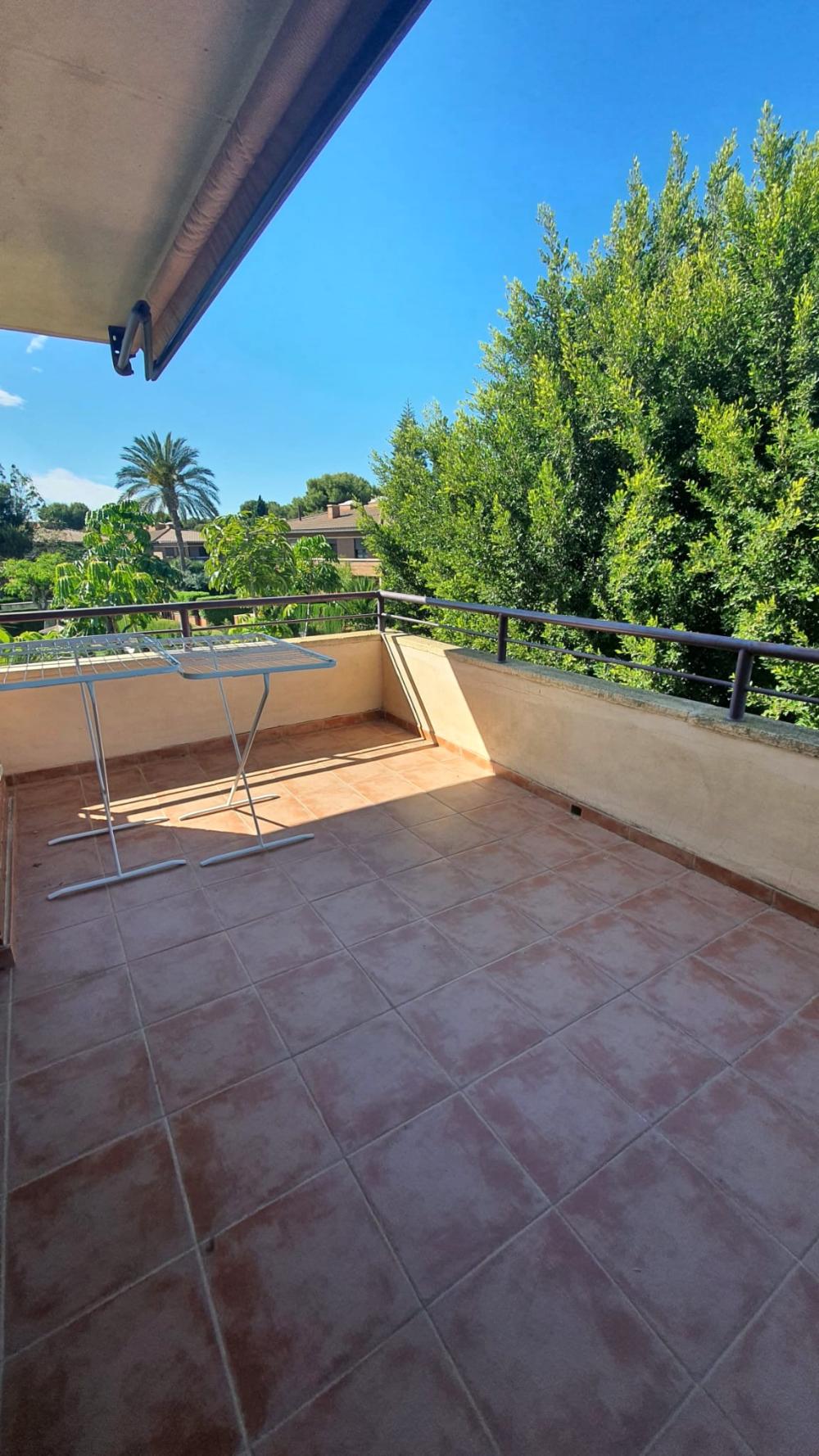  till salu villa L'almaixada Alacantí 13