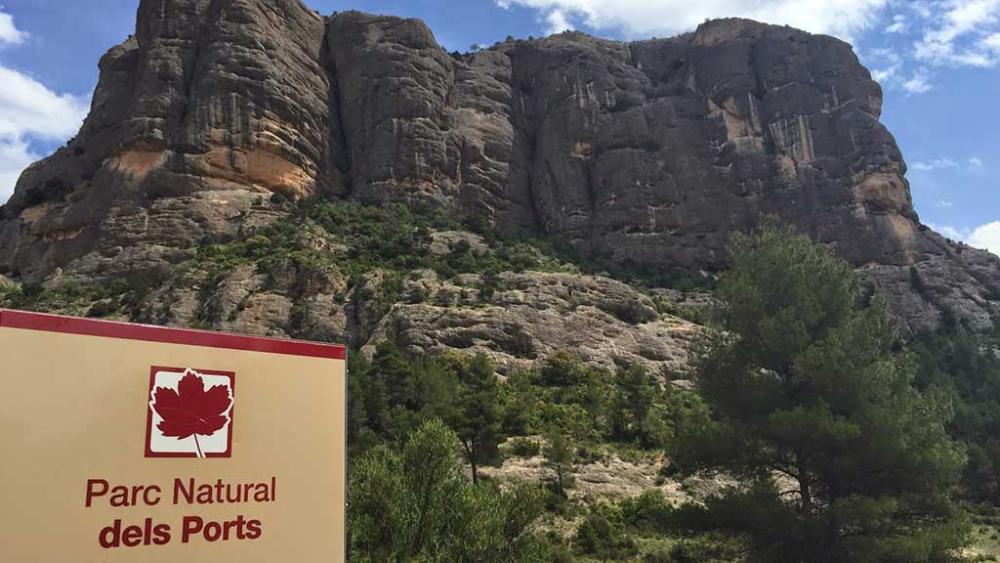  till salu lägenhet Calafat Baix Ebre 7