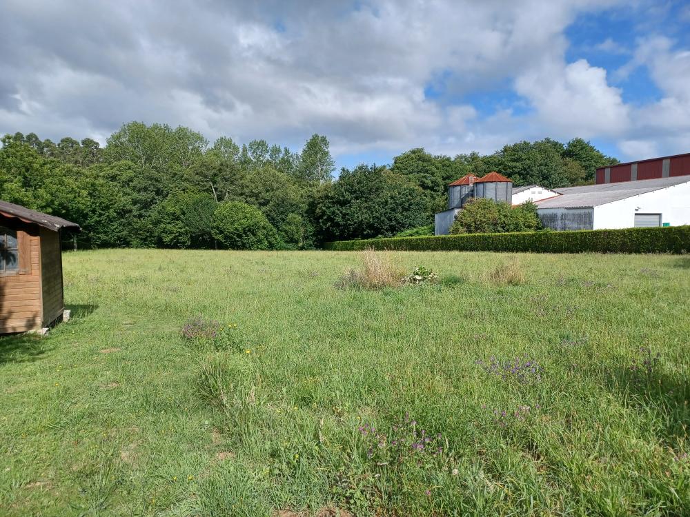  till salu hus på landet A Gandara Ferrol 5