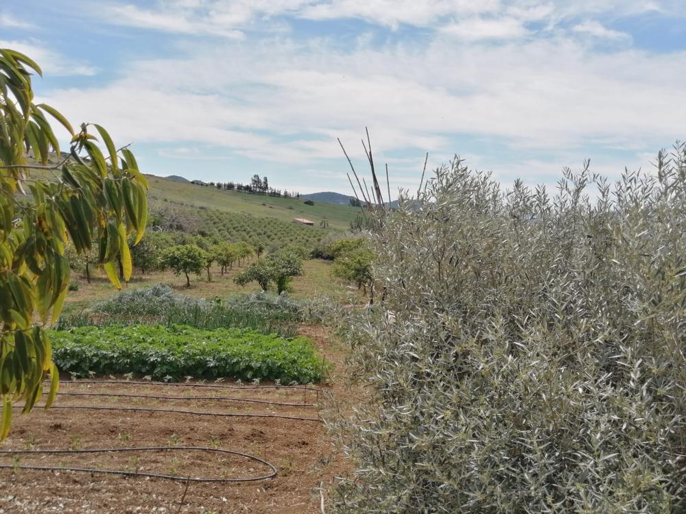  till salu hus Bermejo-Caracuel Valle Del Guadalhorce 46