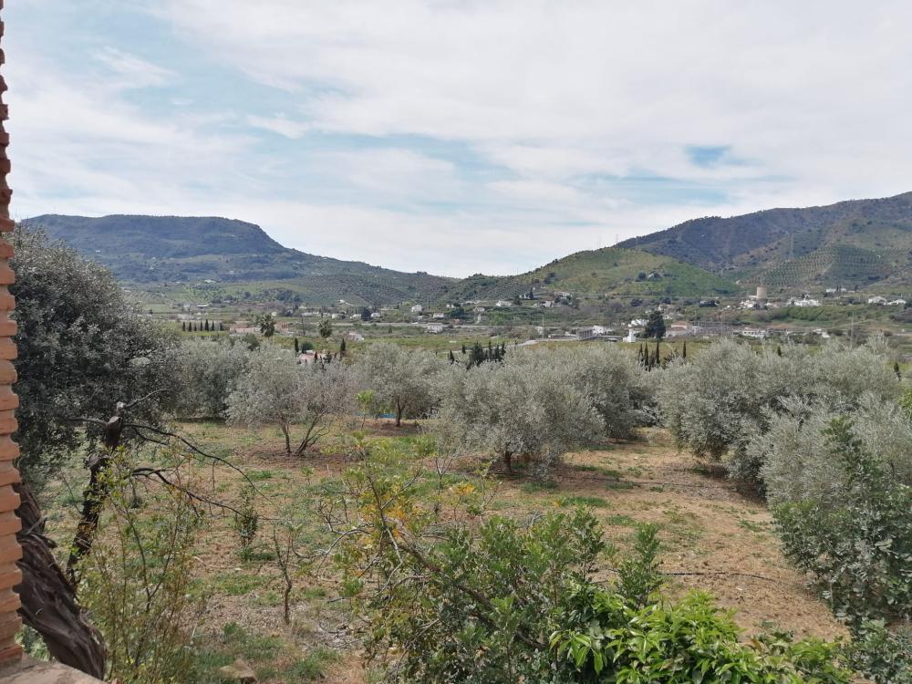  till salu hus Bermejo-Caracuel Valle Del Guadalhorce 43