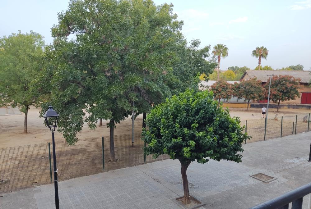  till salu lägenhet Camas Metropolitana De Sevilla 8