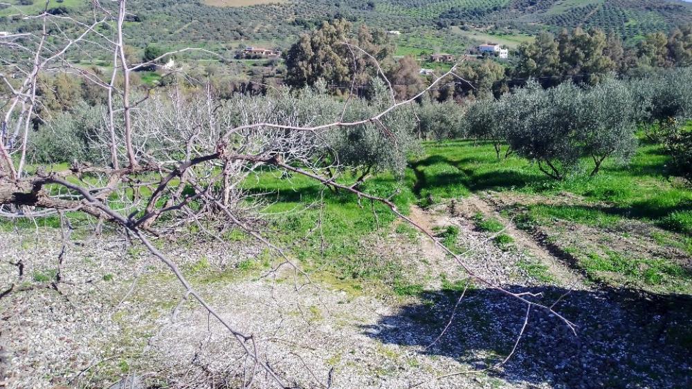  till salu villa Coín Valle Del Guadalhorce 18