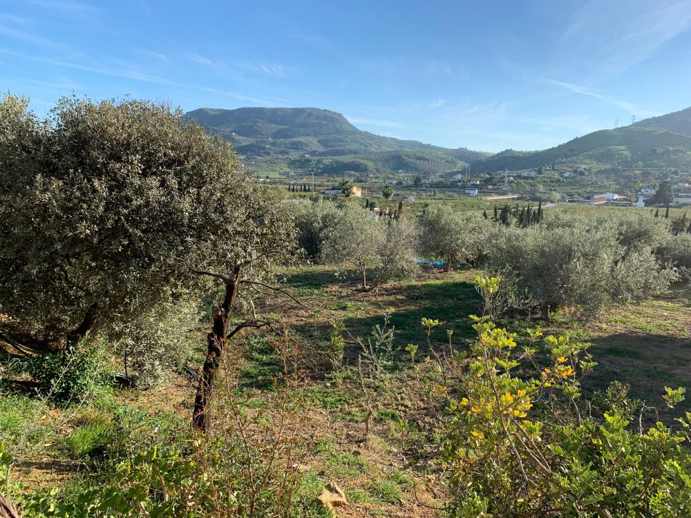  till salu hus Bermejo-Caracuel Valle Del Guadalhorce 27
