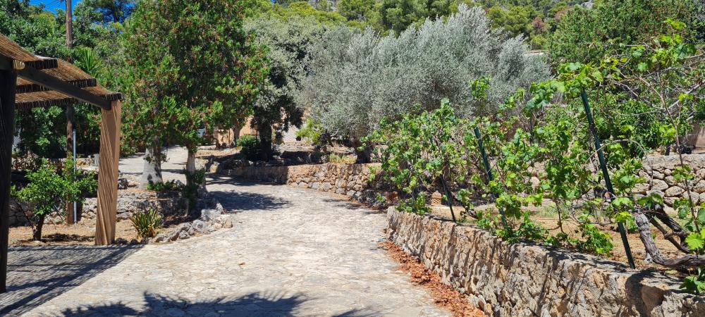  till salu villa Bunyola Tramuntana 3