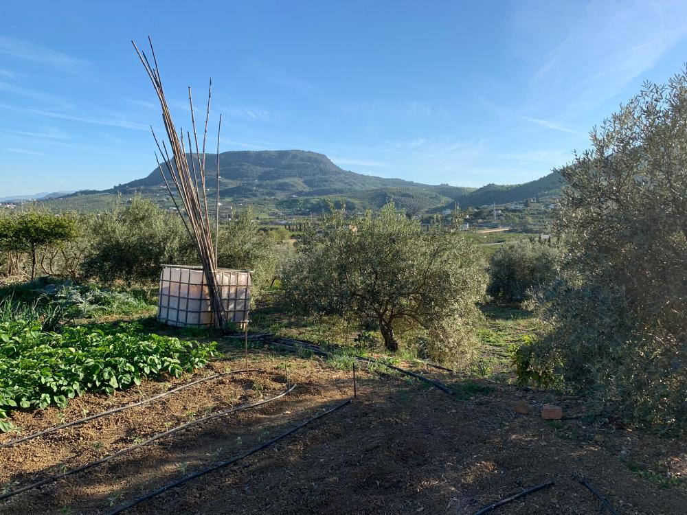  till salu hus Bermejo-Caracuel Valle Del Guadalhorce 32