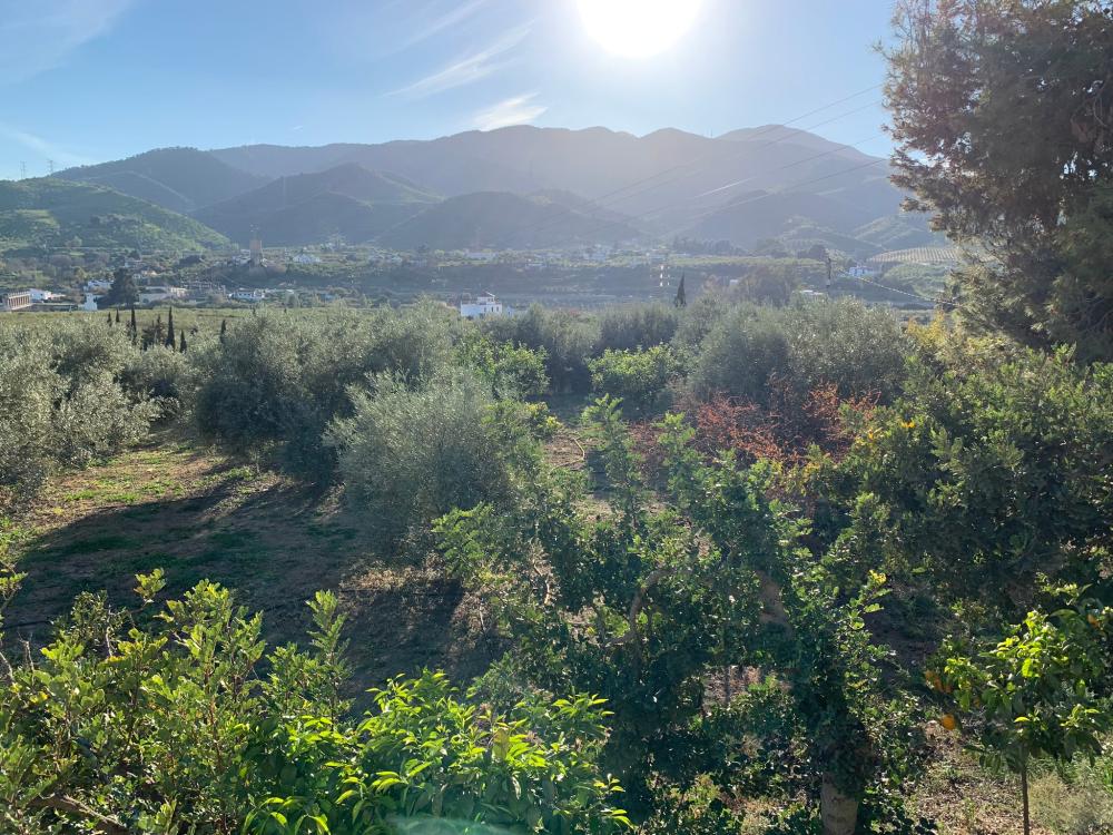  till salu hus Bermejo-Caracuel Valle Del Guadalhorce 28