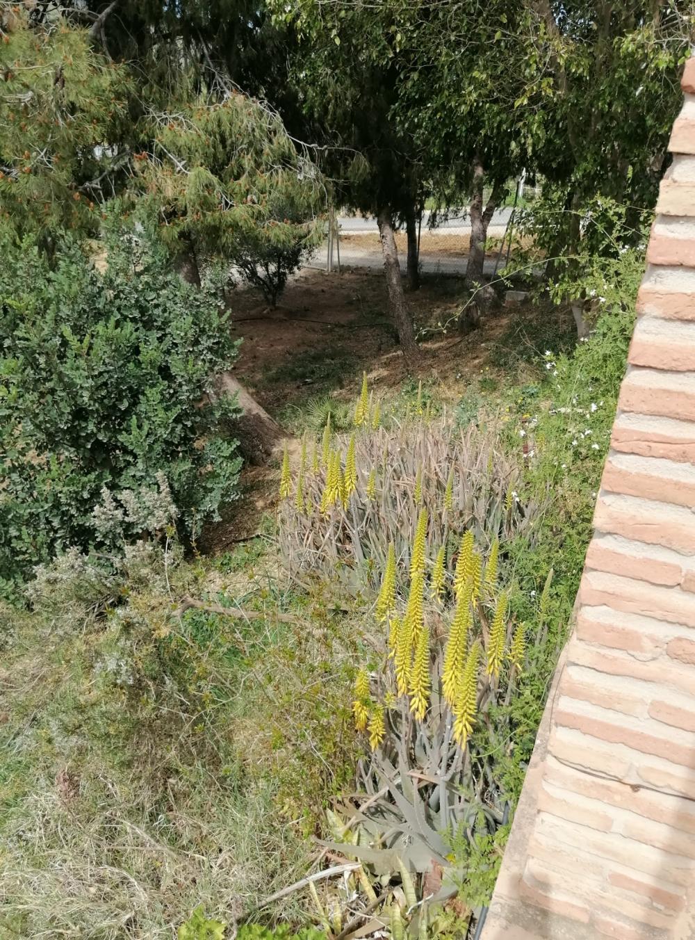  till salu hus Bermejo-Caracuel Valle Del Guadalhorce 41