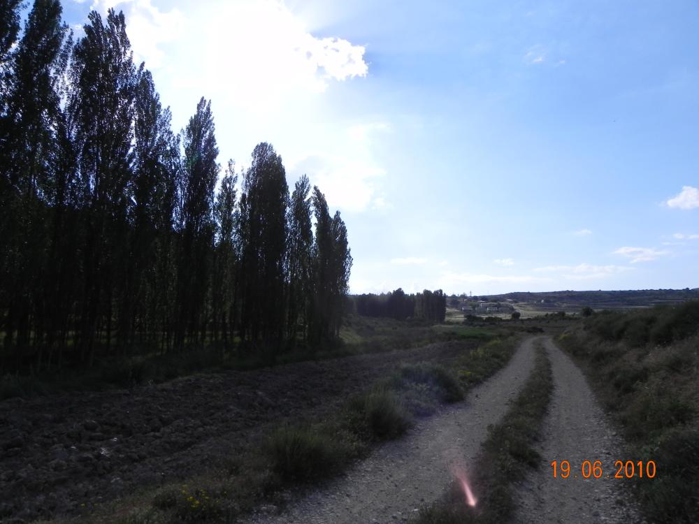  till salu hus Casicas De San Juan Noroeste 7