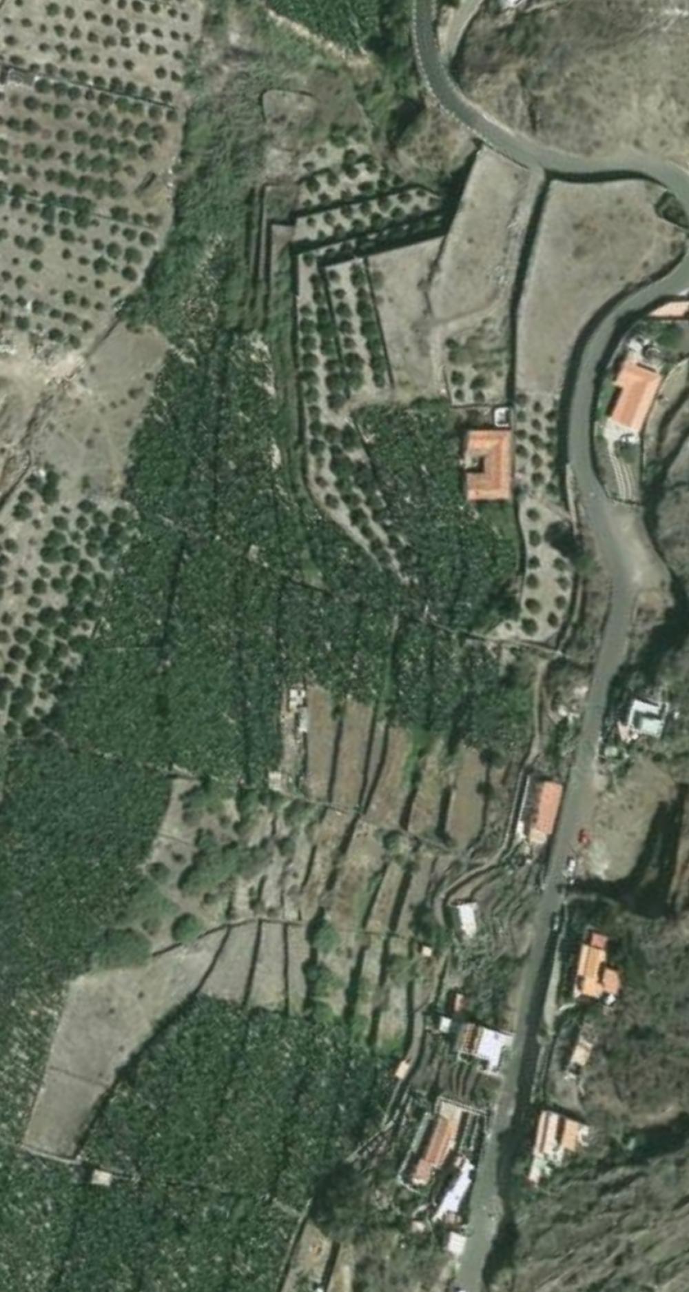  till salu tomt Hermigua Gomera (La) 12