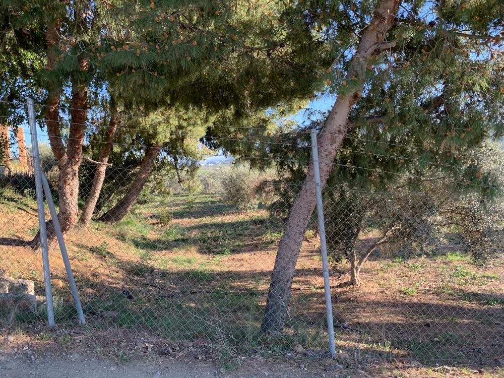  till salu hus Bermejo-Caracuel Valle Del Guadalhorce 24