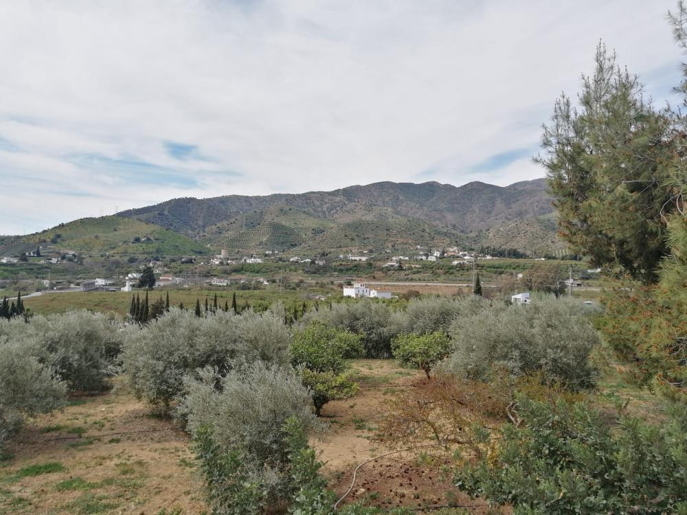  till salu hus Bermejo-Caracuel Valle Del Guadalhorce 44