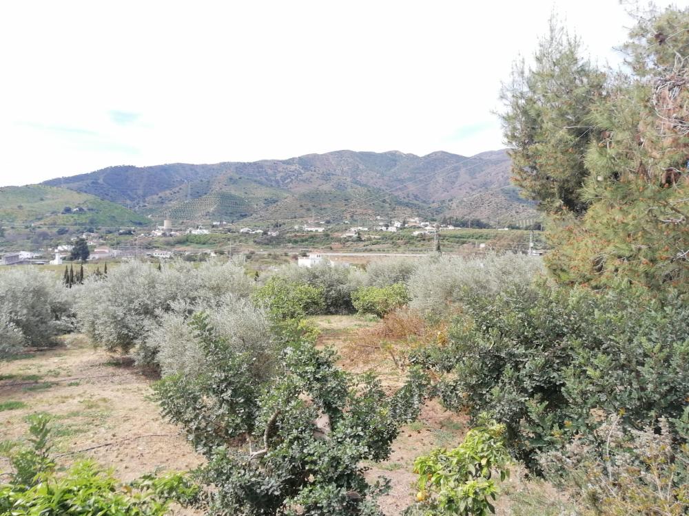  till salu hus Bermejo-Caracuel Valle Del Guadalhorce 45
