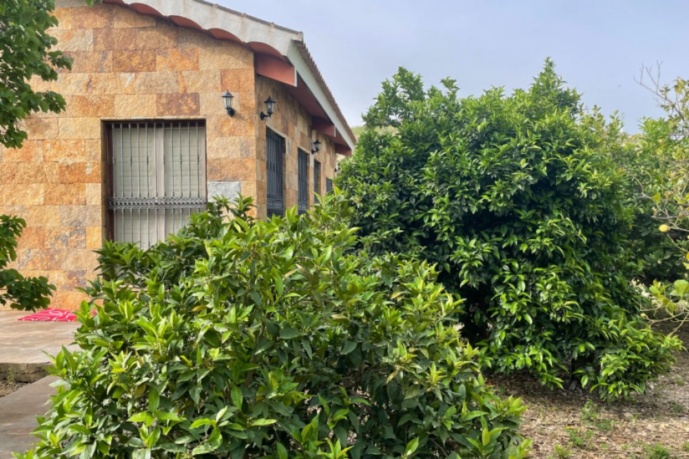  till salu hus på landet Villanueva Del Río Segura Valle De Ricote 21