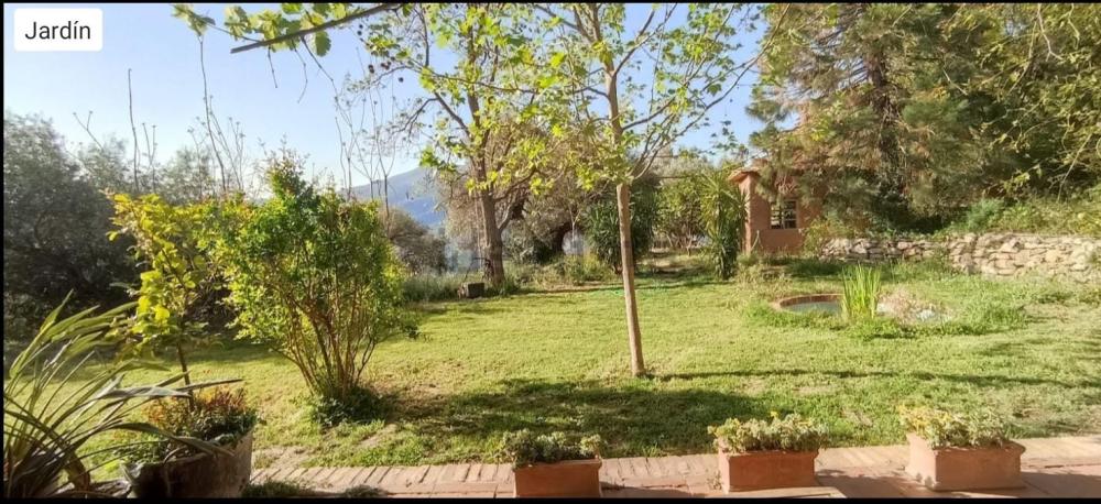  till salu hus Bayacas Alpujarra Granadina 13