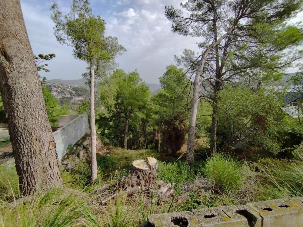 till salu tomt Mas De Les Fonts Baix Llobregat 2