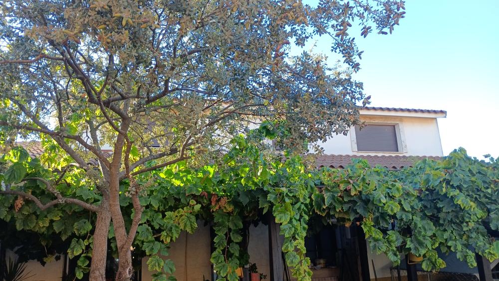  till salu hus Las Labores Mancha (La) 30