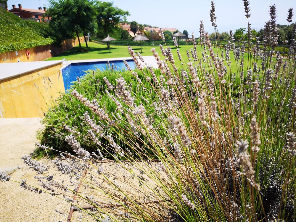 till salu hus Arenys De Mar Maresme 36