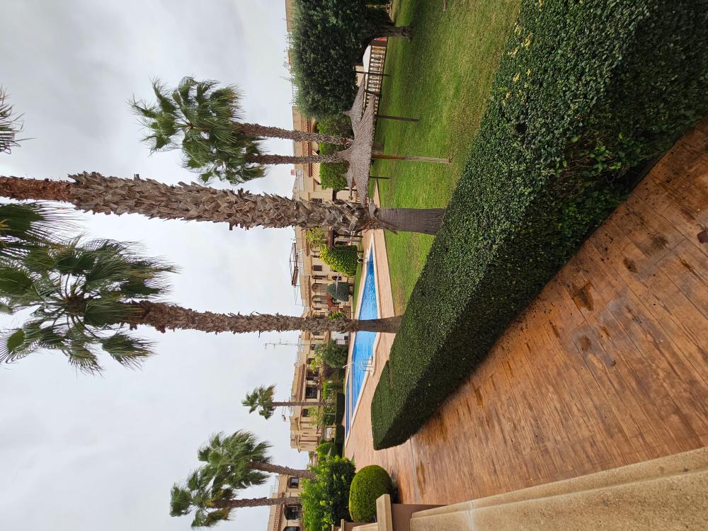  till salu parhus Playa De Los Locos-Aguas Nuevas-Torreblanca Baix Segura 12