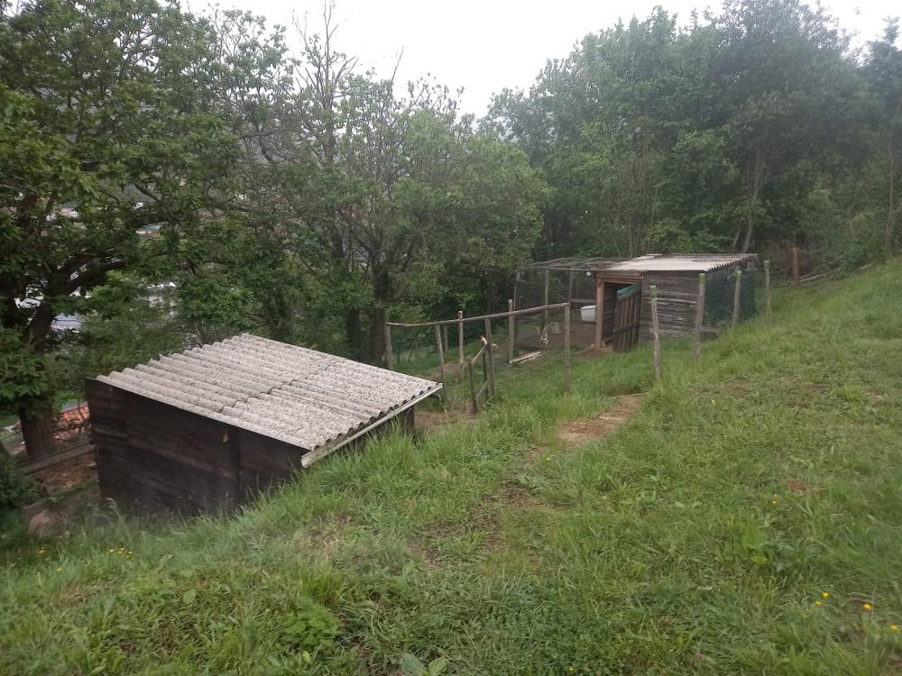 till salu hus på landet Rozada De Bazuelo Caudal 5