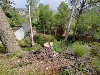 Mas De Les Fonts Baix Llobregat tomt foto 5490948