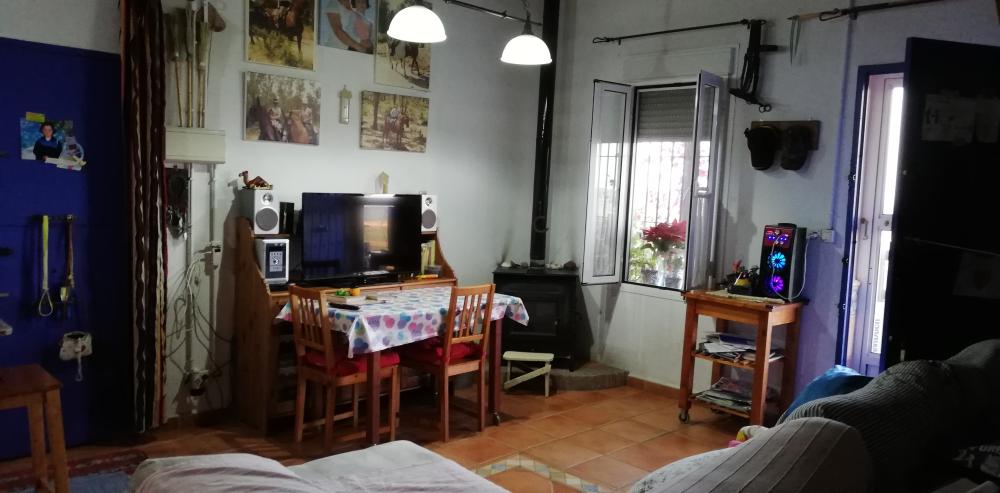  till salu hus på landet Villanueva Del Río Y Minas Vega Del Guadalquivir 12