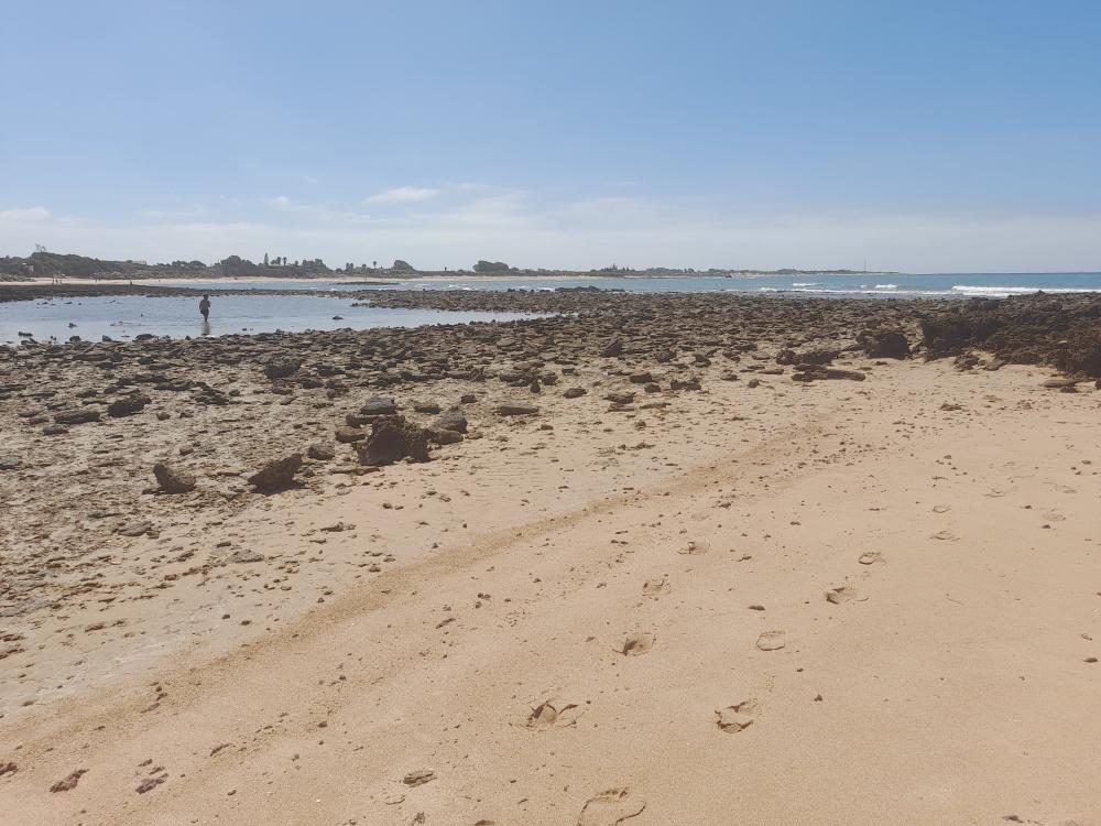  till salu etagevåning Costa Ballena Costa Noroeste 29