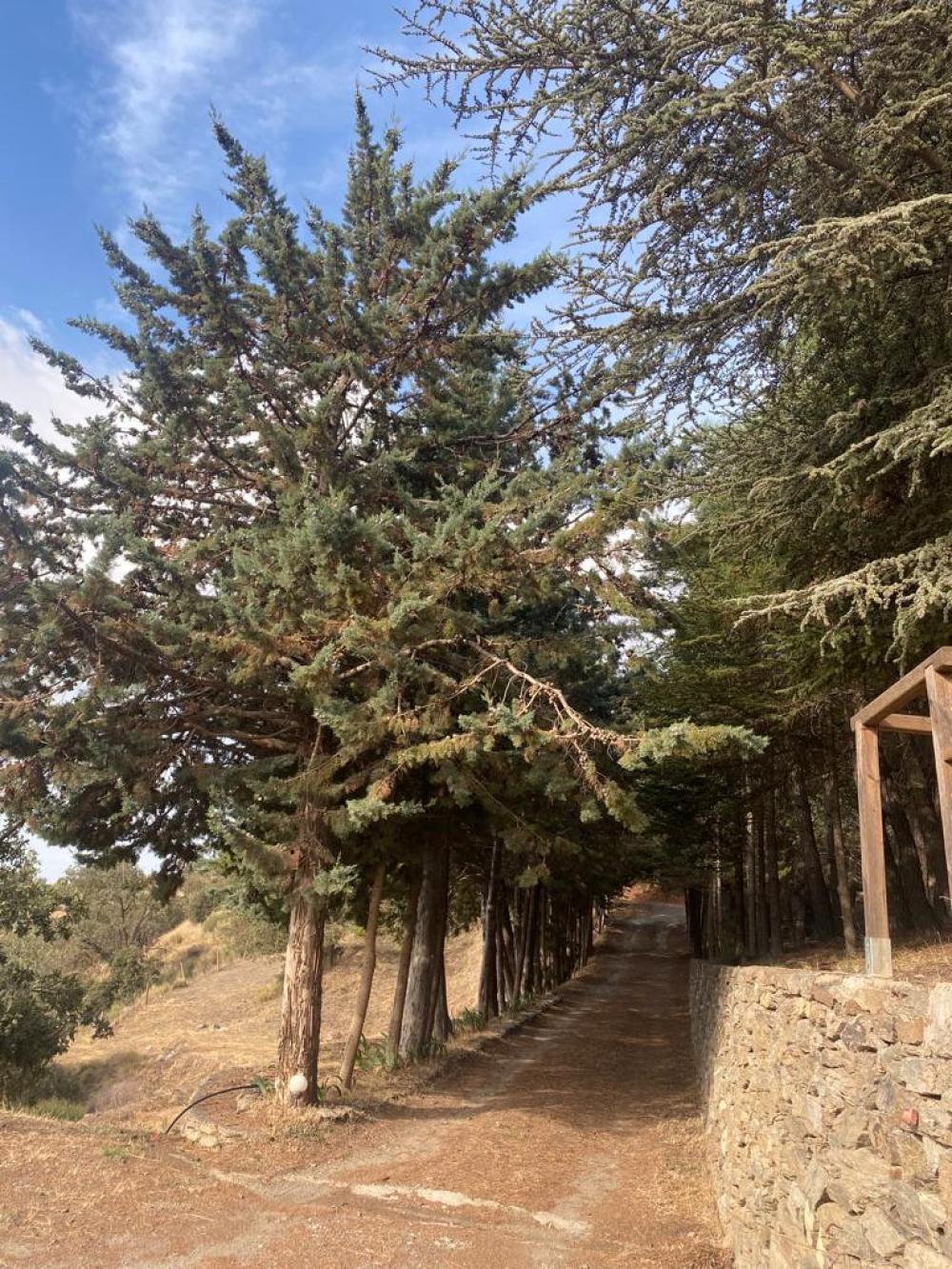  till salu hus på landet Pampaneira Alpujarra Granadina 15