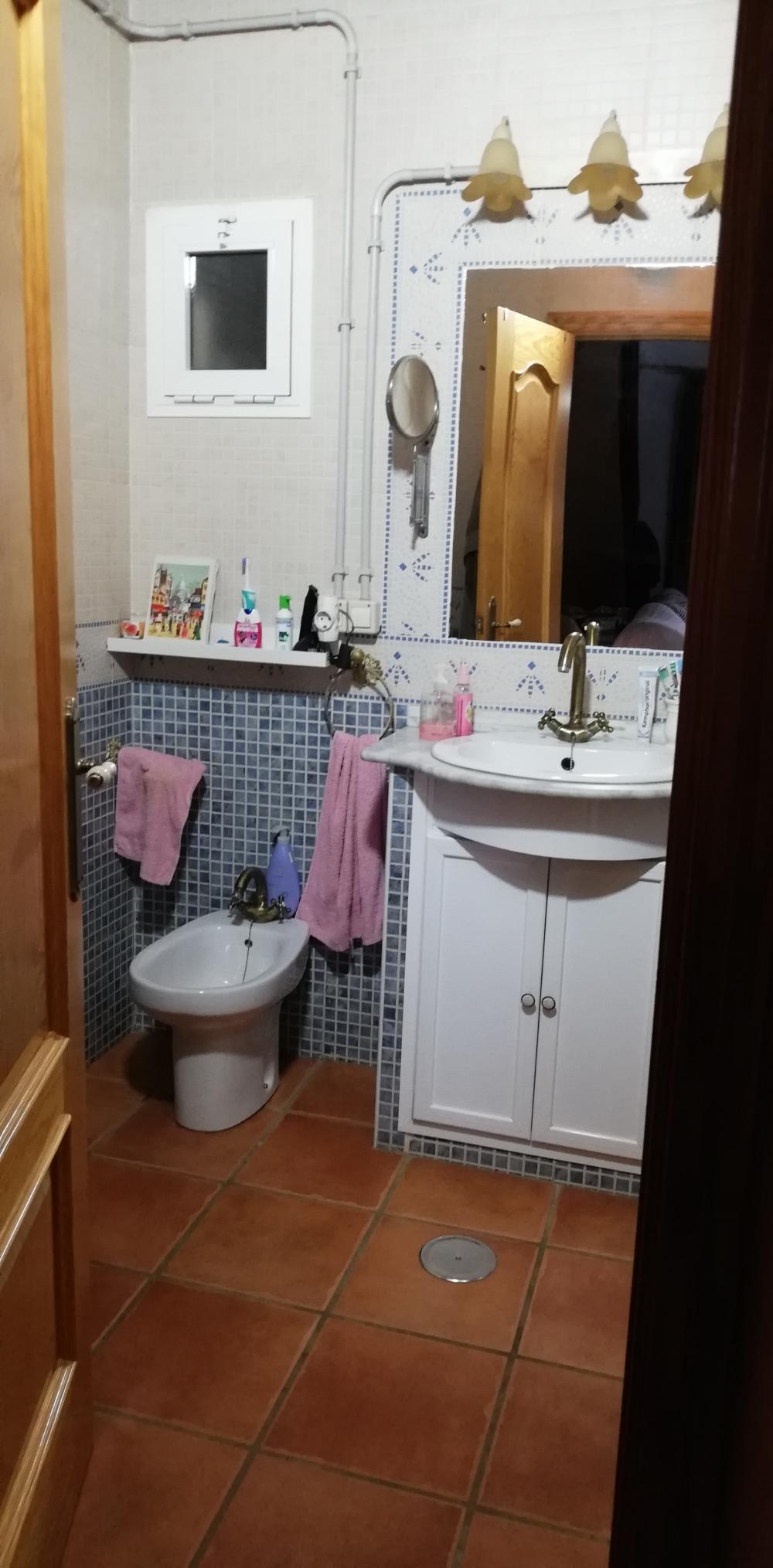  till salu hus på landet Villanueva Del Río Y Minas Vega Del Guadalquivir 33