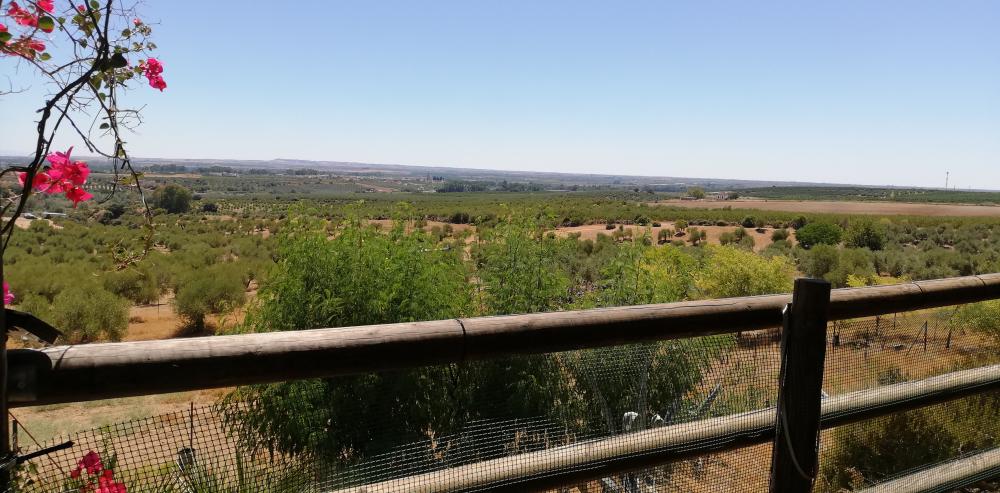  till salu hus på landet Villanueva Del Río Y Minas Vega Del Guadalquivir 25