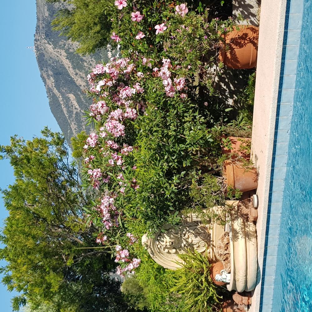  till salu villa Alfaz Del Pi Marina Baixa 18