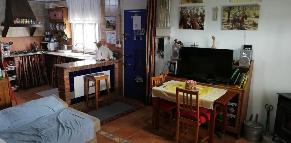  till salu hus på landet Villanueva Del Río Y Minas Vega Del Guadalquivir 19