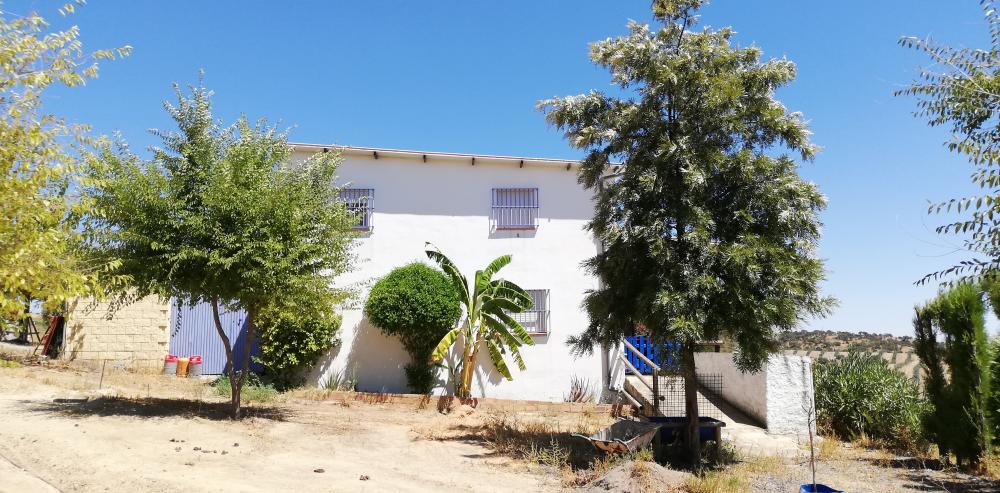 till salu hus på landet Villanueva Del Río Y Minas Vega Del Guadalquivir 28