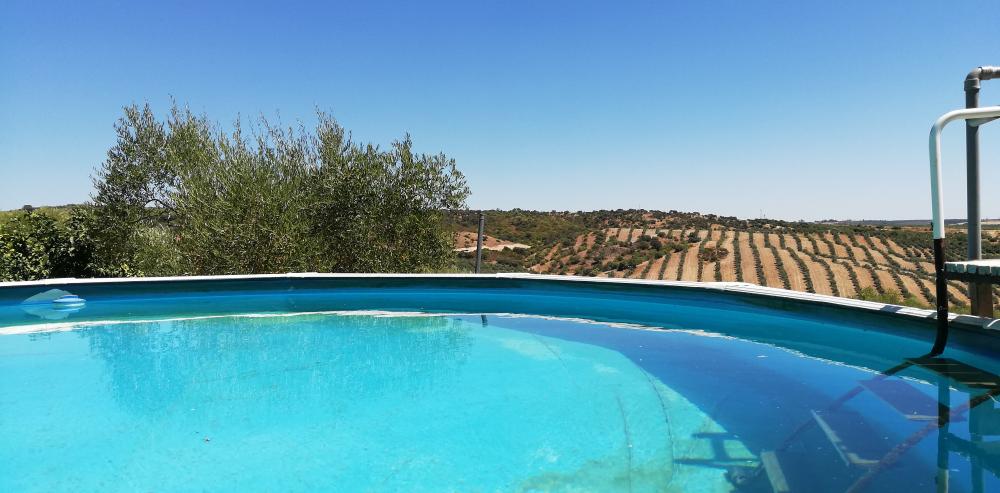  till salu hus på landet Villanueva Del Río Y Minas Vega Del Guadalquivir 6