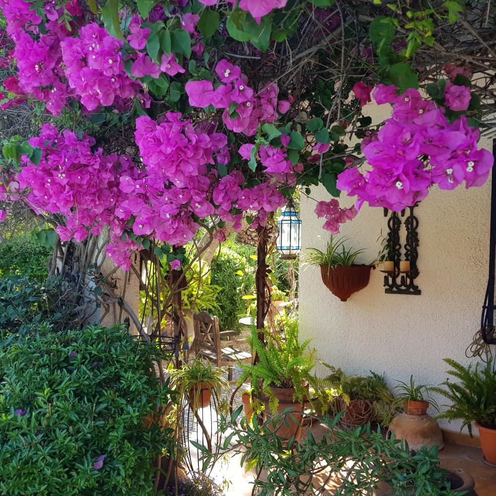  till salu villa Alfaz Del Pi Marina Baixa 24