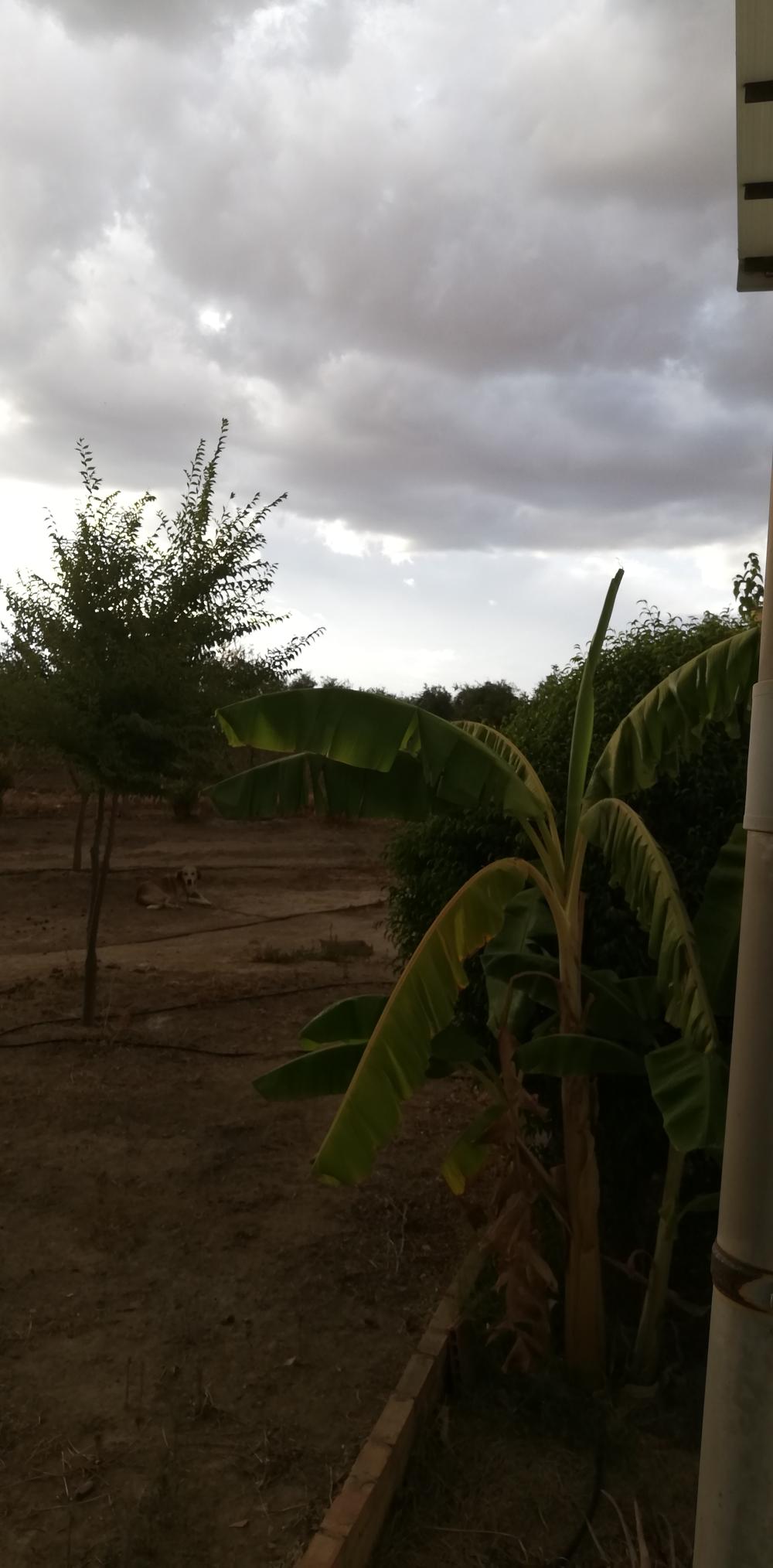  till salu hus på landet Villanueva Del Río Y Minas Vega Del Guadalquivir 21