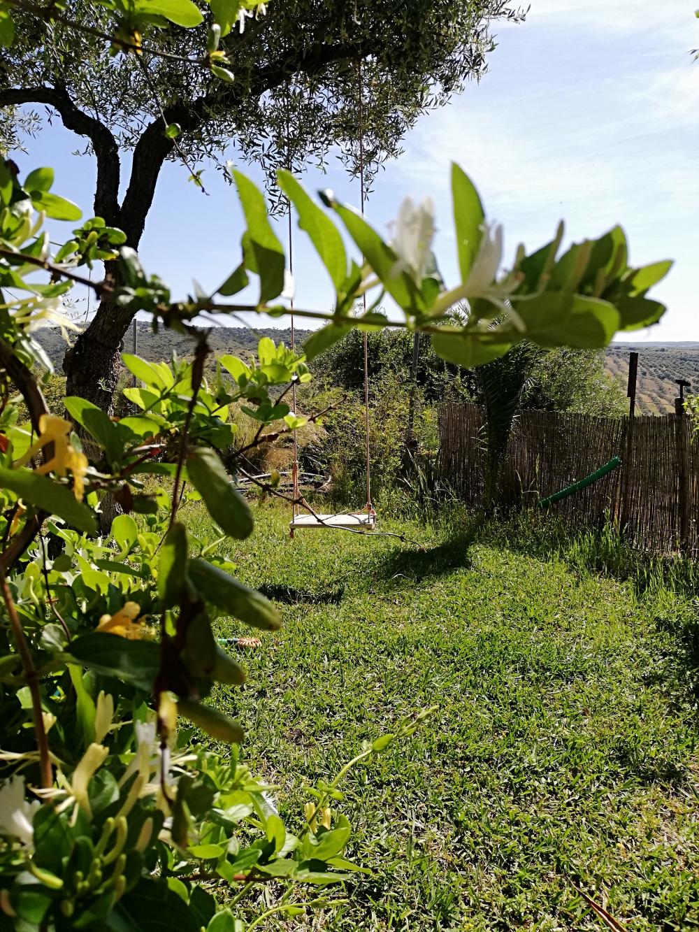 till salu hus på landet Villanueva Del Río Y Minas Vega Del Guadalquivir 15