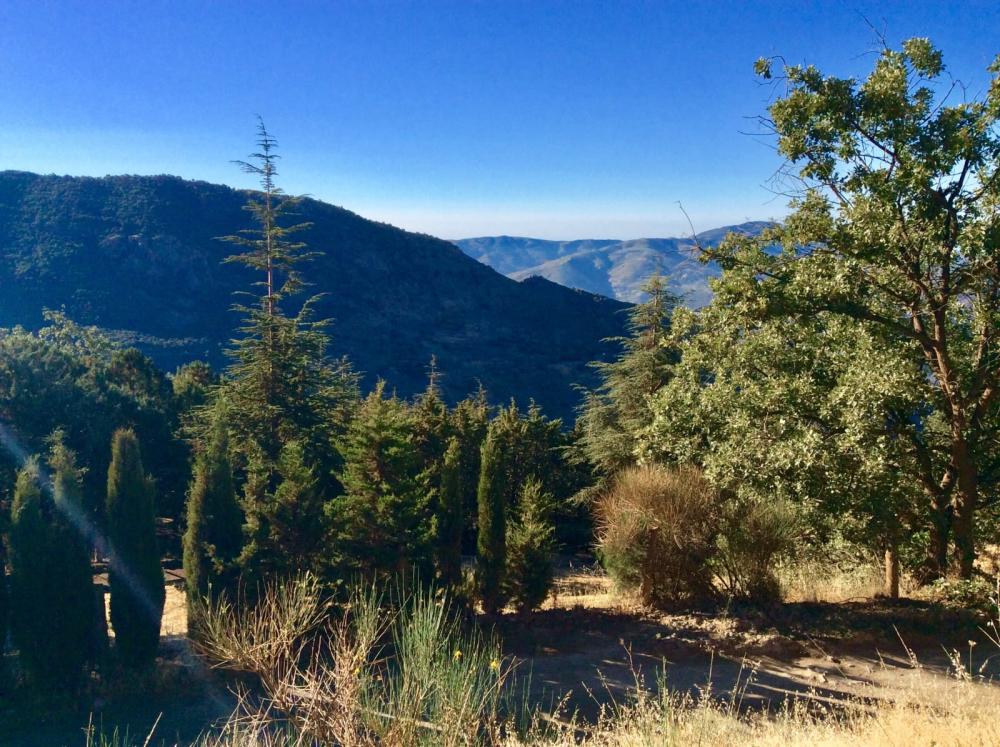  till salu hus på landet Pampaneira Alpujarra Granadina 26
