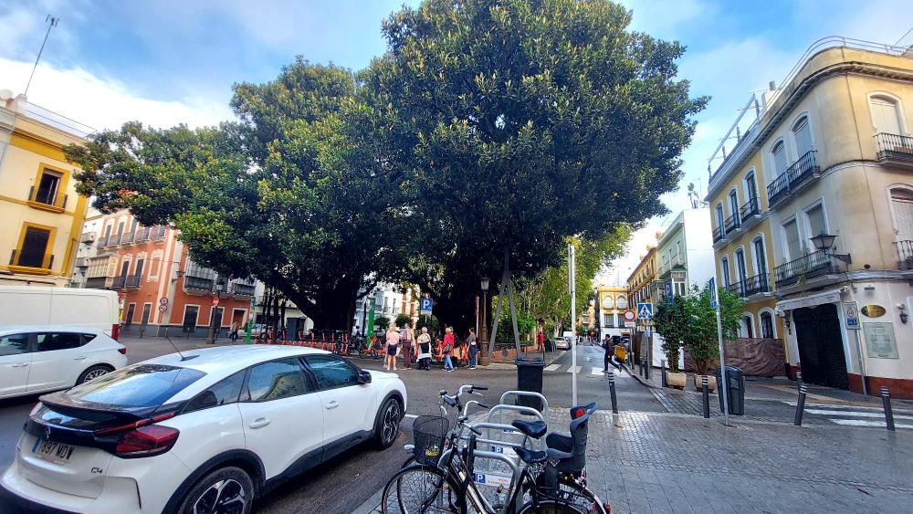  till salu lägenhet Sevilla Casco Antiguo 41003 Metropolitana De Sevilla 41