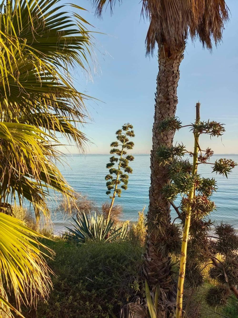  till salu lägenhet Jardin De Almadrava Costa Noroeste 4