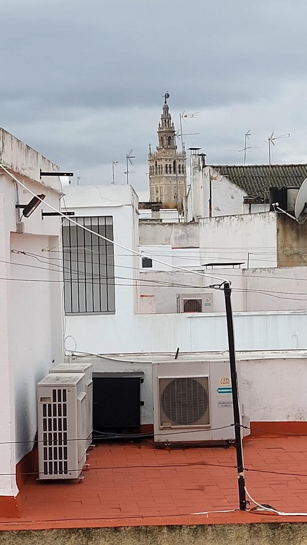  till salu lägenhet Sevilla Casco Antiguo 41003 Metropolitana De Sevilla 8