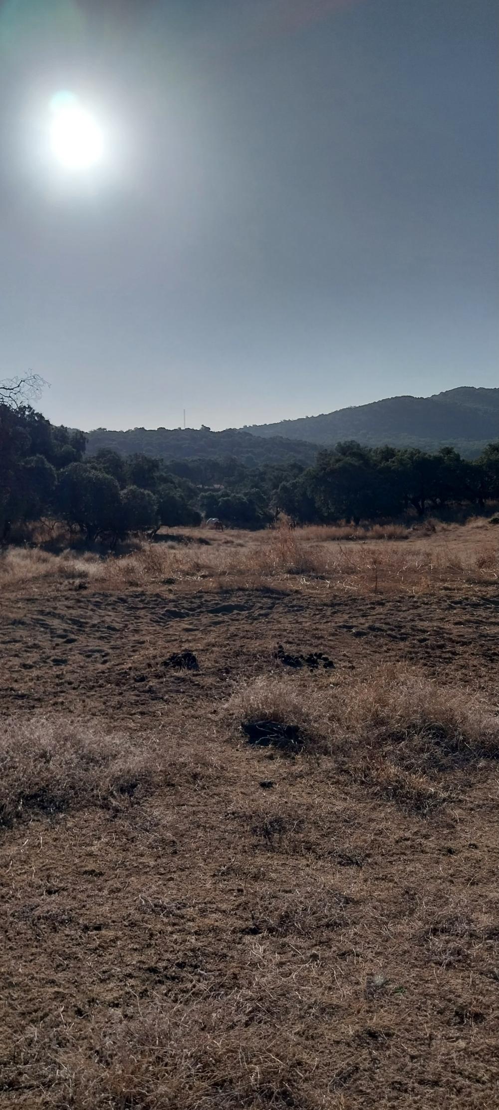  till salu hus på landet Valdezufre Sierra De Huelva 4