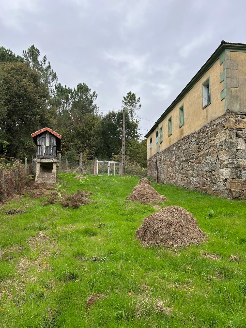  till salu hus A Teixeira Terra Da Celanova 10