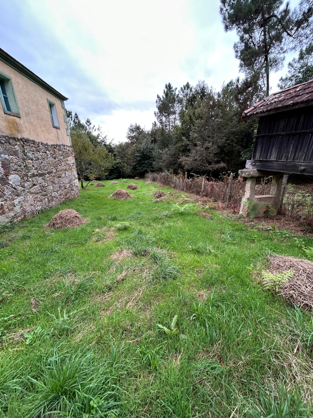  till salu hus A Teixeira Terra Da Celanova 9
