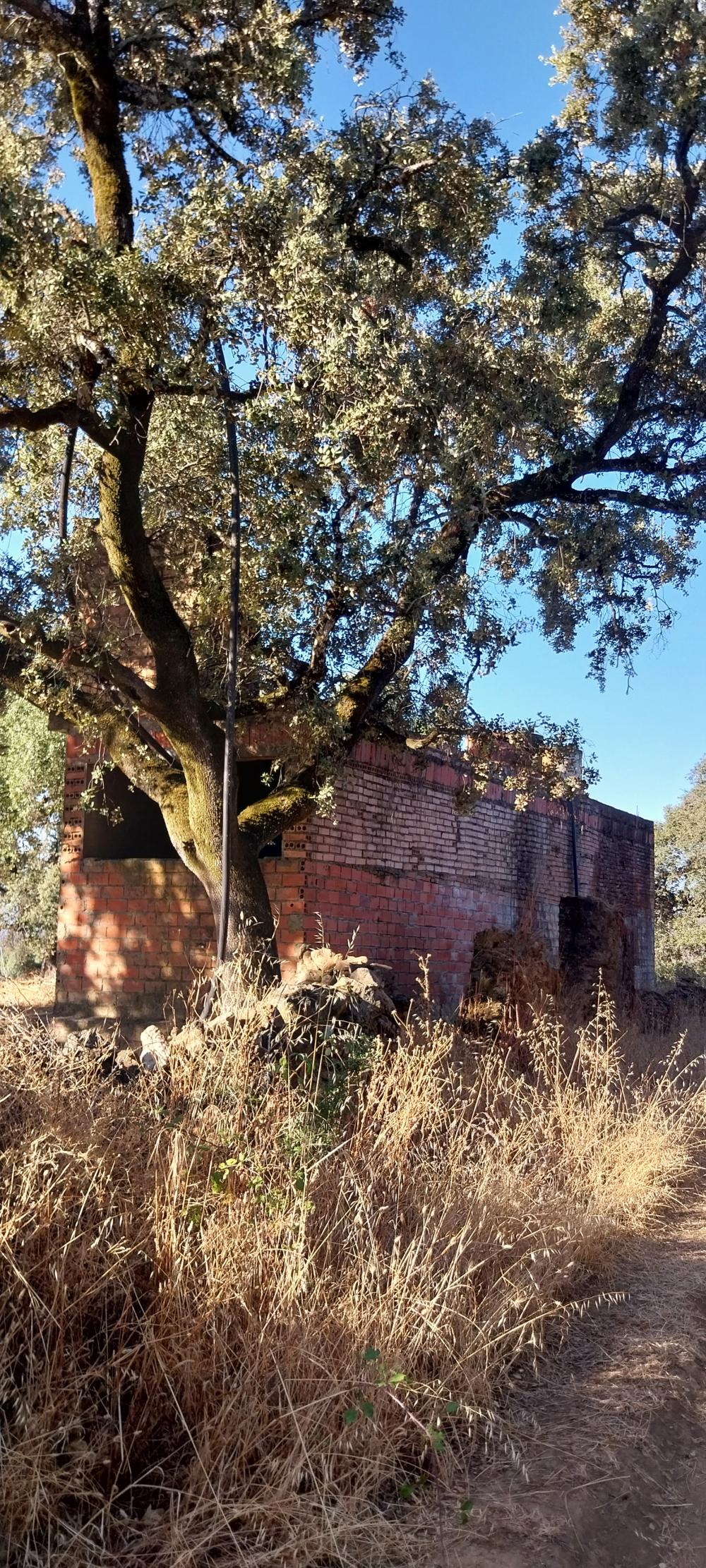  till salu hus på landet Valdezufre Sierra De Huelva 6